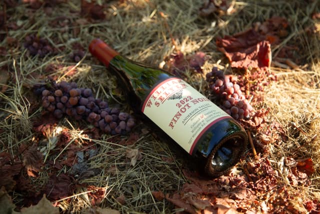 Williams Selyem Ferrington Vineyard Pinot Noir aging in French oak barrels