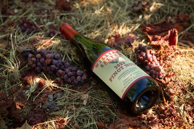 Williams Selyem Ferrington Vineyard Pinot Noir bottle detail with vineyard designation