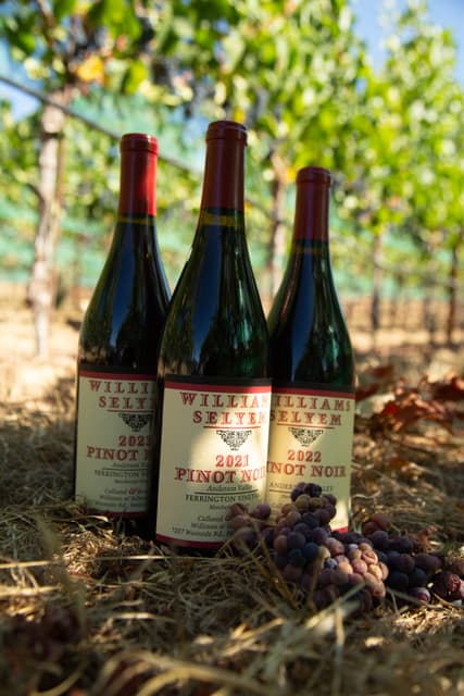 Williams Selyem winemaker reviewing Ferrington Vineyard Pinot Noir barrel samples