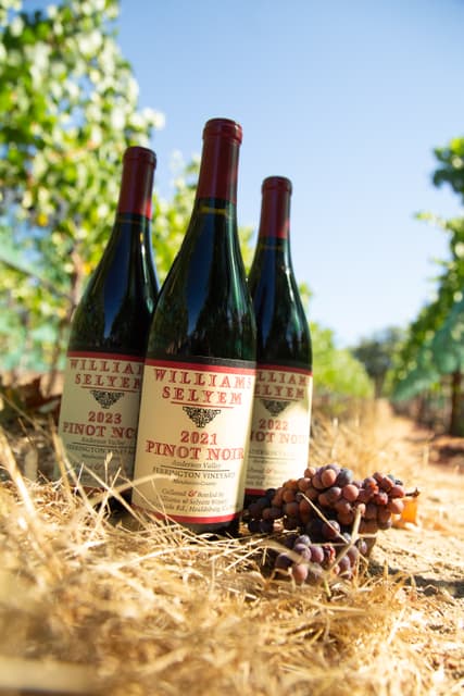 Williams Selyem Ferrington Vineyard Pinot Noir 2022 vintage bottle and glass