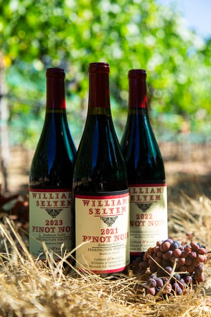 Williams Selyem Ferrington Vineyard Pinot Noir tasting flight with vintage comparison