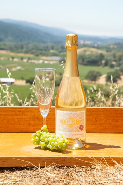 Seppi Ferrington Vineyard Pinot Noir bottle with vineyard designation label