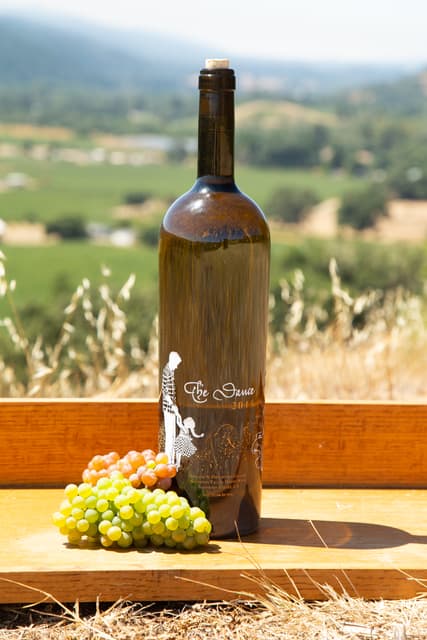 Fathers & Daughters Ferrington Vineyard Sauvignon Blanc 2022 bottle